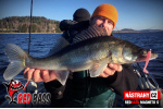Ripper REDBASS MAGNETO S - 67 mm