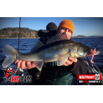 Ripper REDBASS MAGNETO S - 67 mm