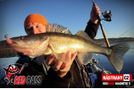 Ripper REDBASS MAGNETO S - 67 mm