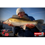 Ripper REDBASS MAGNETO S - 67 mm