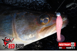 Ripper REDBASS MAGNETO S - 67 mm