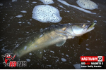 Ripper REDBASS MAGNETO S - 67 mm