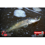 Ripper REDBASS MAGNETO S - 67 mm