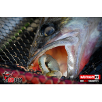 Ripper REDBASS MAGNETO S - 67 mm