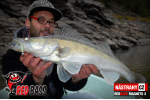 Ripper REDBASS MAGNETO S - 67 mm