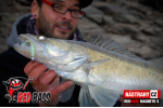 Ripper REDBASS MAGNETO L - 96 mm