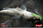 Ripper REDBASS MAGNETO L - 96 mm