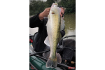 Ripper REDBASS MAGNETO S - 67 mm