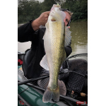 Ripper REDBASS MAGNETO S - 67 mm