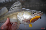 Ripper REDBASS MAGNETO S - 67 mm
