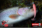 Ripper REDBASS MAGNETO S - 67 mm