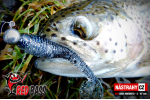 Ripper REDBASS MAGNETO S - 67 mm
