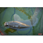 Ripper REDBASS MAGNETO S - 67 mm