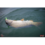 Ripper REDBASS MAGNETO S - 67 mm