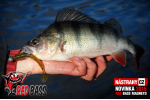 Ripper REDBASS MAGNETO L - 96 mm