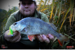 Ripper REDBASS MAGNETO S - 67 mm