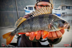 Ripper REDBASS MAGNETO S - 67 mm