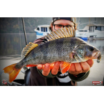 Ripper REDBASS MAGNETO S - 67 mm