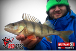 Ripper REDBASS MAGNETO S - 67 mm