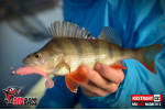 Ripper REDBASS MAGNETO S - 67 mm