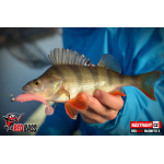 Ripper REDBASS MAGNETO S - 67 mm