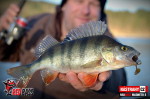 Ripper REDBASS MAGNETO S - 67 mm