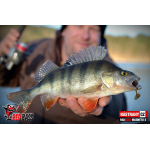 Ripper REDBASS MAGNETO S - 67 mm
