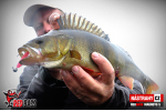 Ripper REDBASS MAGNETO S - 67 mm