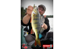 Ripper REDBASS MAGNETO S - 67 mm