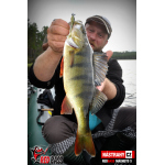 Ripper REDBASS MAGNETO S - 67 mm