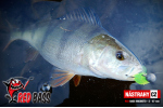 Zvýhodnená sada Streamer Marabou "Čeburaška"