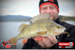 Ripper REDBASS MAGNETO S - 67 mm