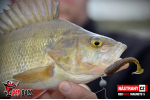 Ripper REDBASS MAGNETO S - 67 mm
