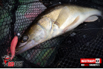 Ripper REDBASS MAGNETO L - 96 mm