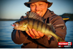 Ripper REDBASS MAGNETO S - 67 mm