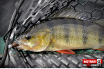 Ripper REDBASS MAGNETO S - 67 mm