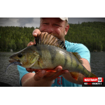 Ripper REDBASS MAGNETO S - 67 mm