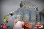 Ripper REDBASS MAGNETO S - 67 mm