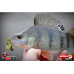 Ripper REDBASS MAGNETO S - 67 mm
