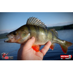 Ripper REDBASS MAGNETO S - 67 mm