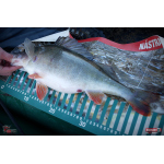 Ripper REDBASS MAGNETO S - 67 mm