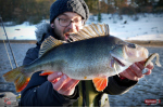 Ripper REDBASS MAGNETO S - 67 mm