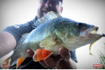 Ripper REDBASS MAGNETO S - 67 mm