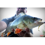 Ripper REDBASS MAGNETO S - 67 mm