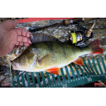 Ripper REDBASS MAGNETO S - 67 mm