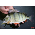 Ripper REDBASS MAGNETO S - 67 mm