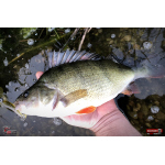 Ripper REDBASS MAGNETO S - 67 mm