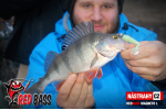 Zvýhodnená sada Streamer Marabou "Čeburaška"