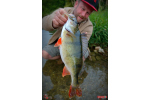 Ripper REDBASS MAGNETO S - 67 mm