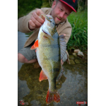 Ripper REDBASS MAGNETO S - 67 mm